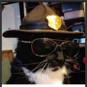 Meet your Posher, Travis